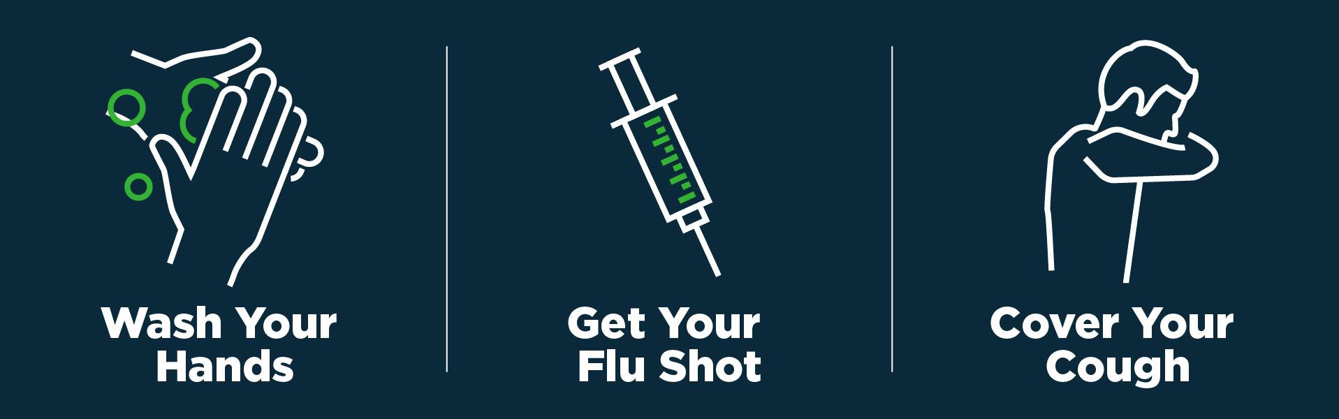 Flu Home