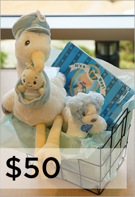 Floyd Medical Center Stork Delivery Stuffed Animal $50